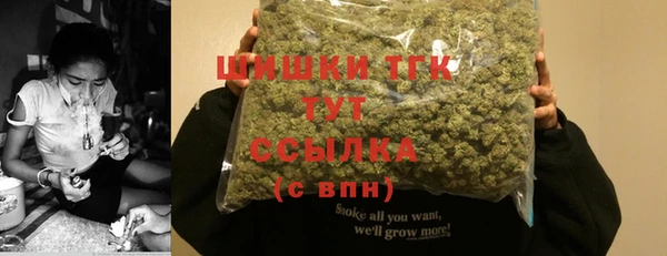 стафф Вязьма
