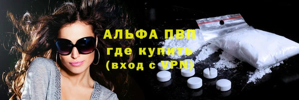 стафф Вязьма