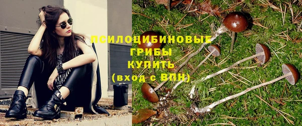 ALPHA PVP Вяземский