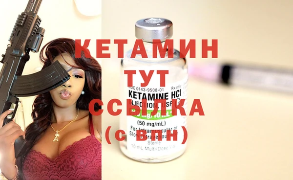 стафф Вязьма