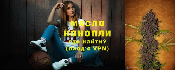 стафф Вязьма