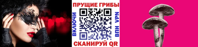 Купить  Кемь  Галлюциногенные грибы мухоморы 