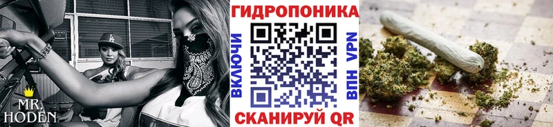 МАРИХУАНА индика  Купить закладки  Кемь 